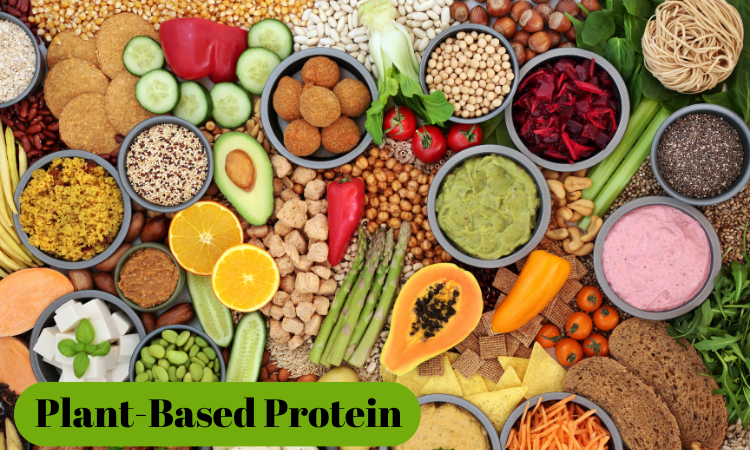 Plant-Based Protein Alternatives