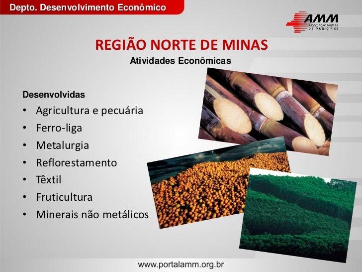 Norte de minas perspectivas econômicas e sociais para o desenvolvimen…