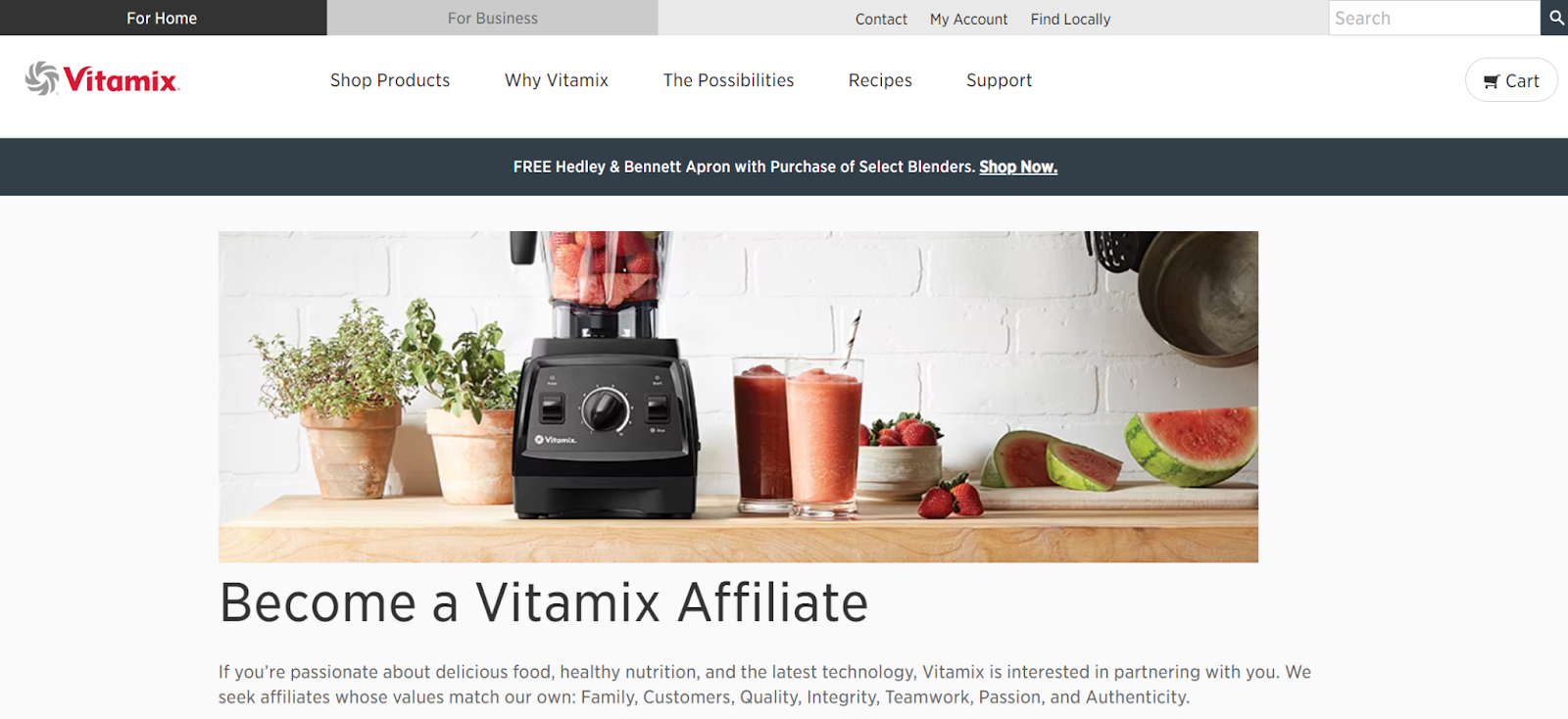 Vitamix affiliate program home page
