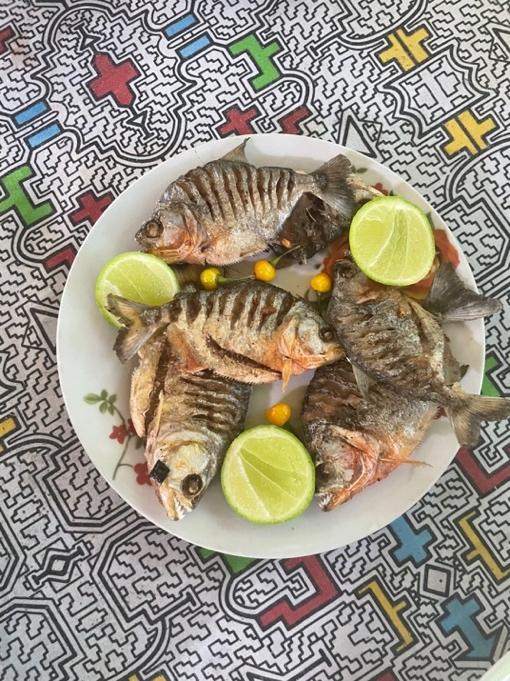 A plate of fish and limes

Description automatically generated