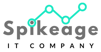 Spikeage IT Company - Top Digital Marketing Company In Bhiwani, Haryana