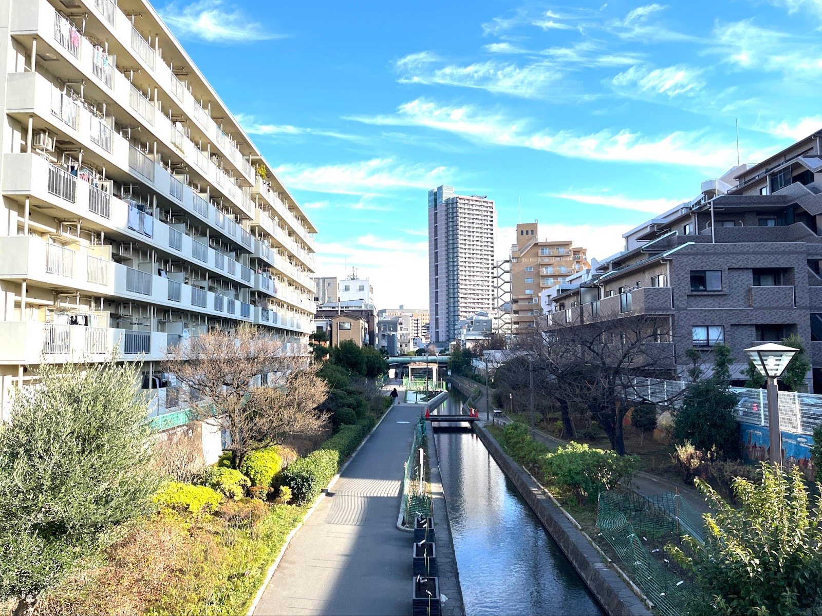 古石場川親水公園の両側には住宅街が広がります。