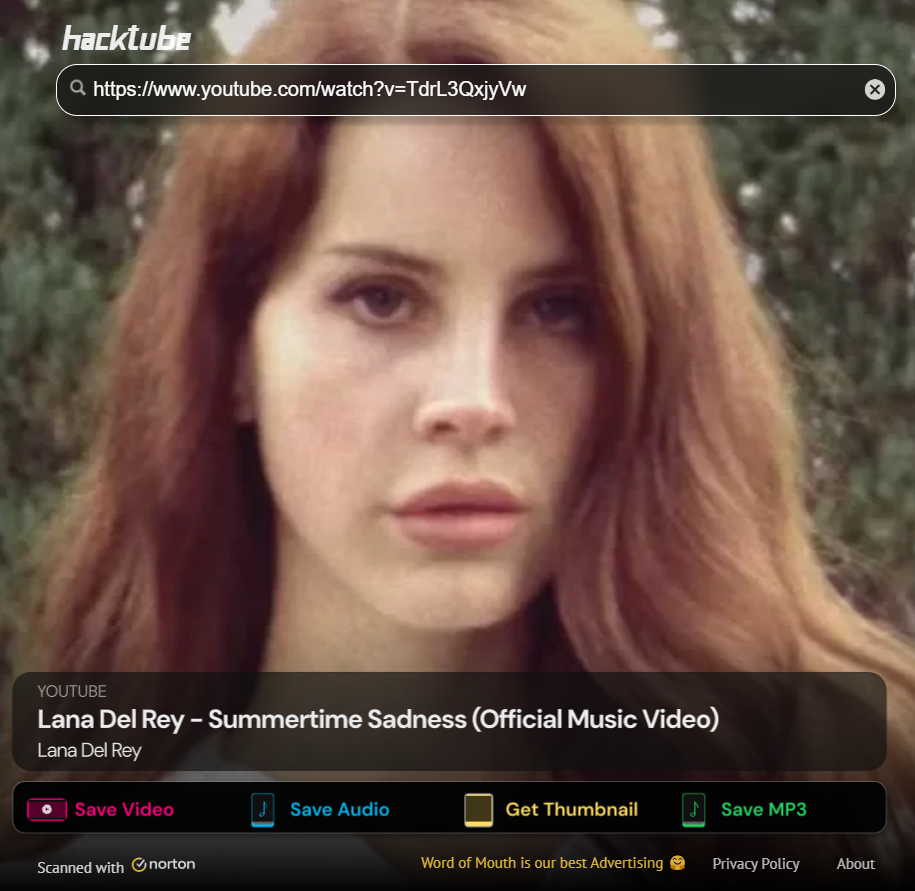 Hacktube screenshot showing how to download Lana Del Rey’s Summertime Sadness, there are 4 options below: Save Video, Save WAV Audio, Get Thumbnail, and Save MP3