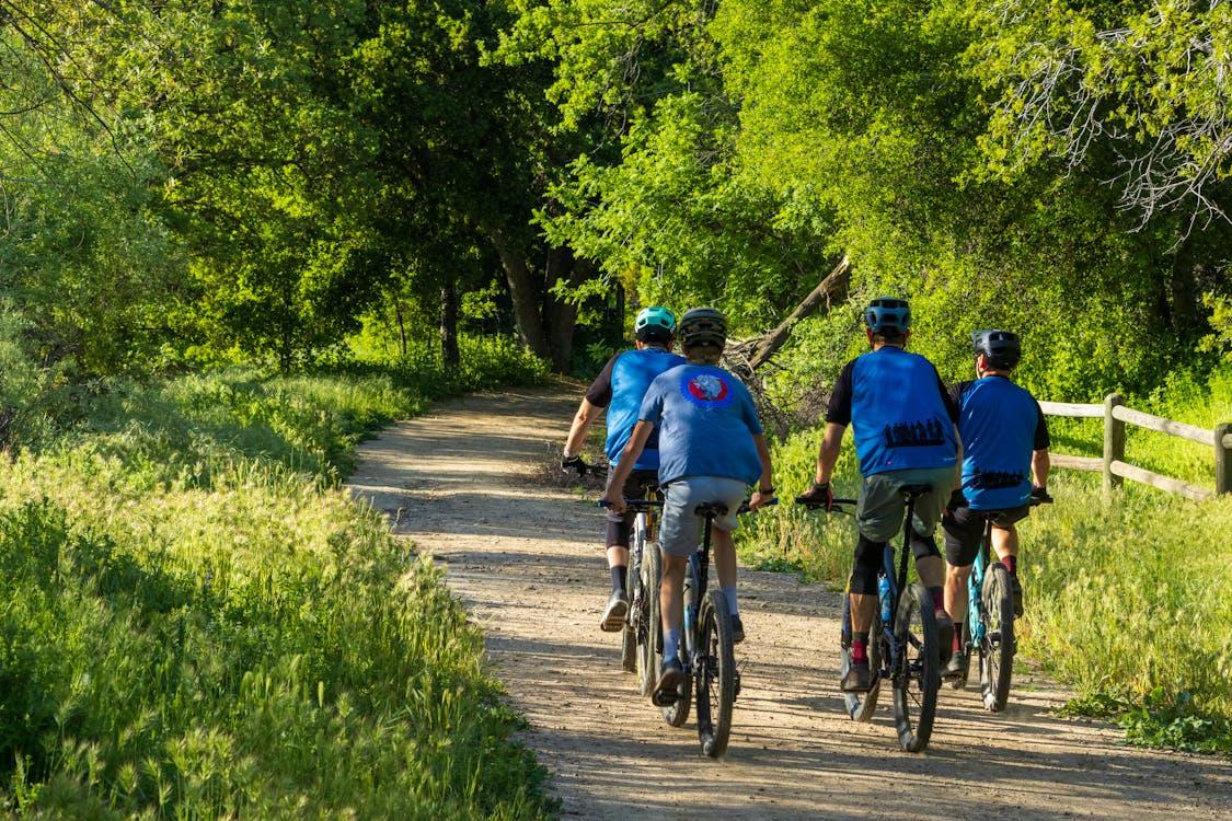 Free Back View of Four Bikers Cycling on a Country Road Stock Photo