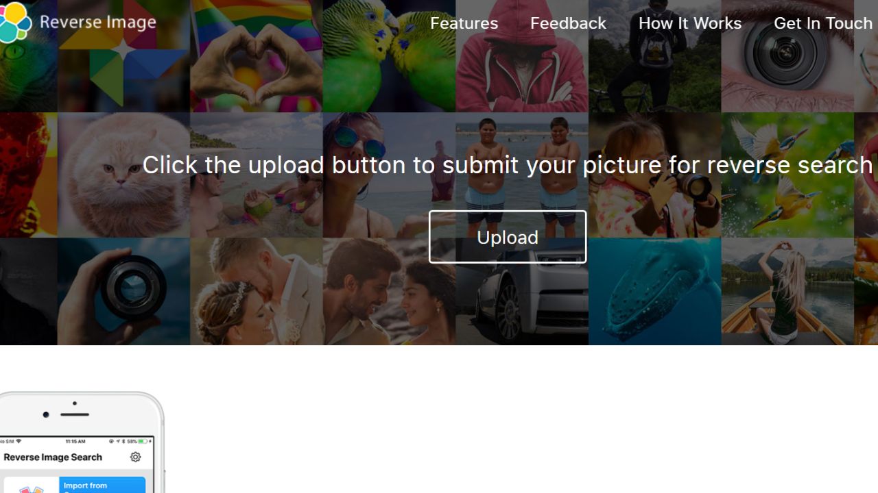 Top 17 Reverse Image Search Tools: Pricing Plans and Costs Softlist.io