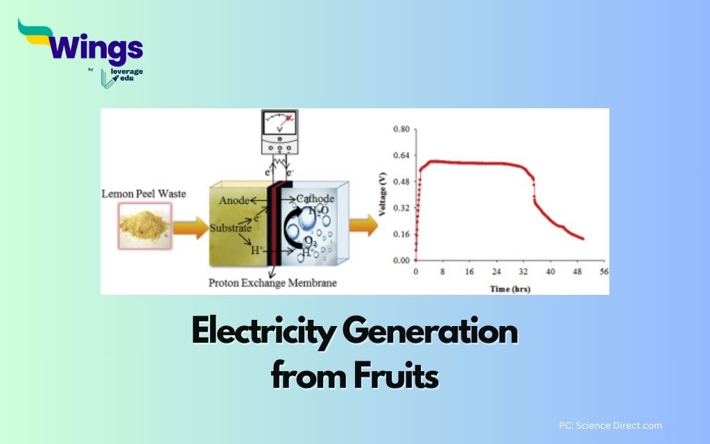 Class 7 Science Project: Electricity Generation from Fruits Experiment
