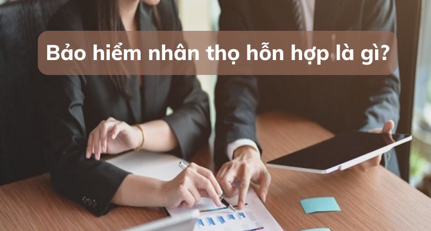 bảo hiểm nhân thọ hỗn hợp là gì