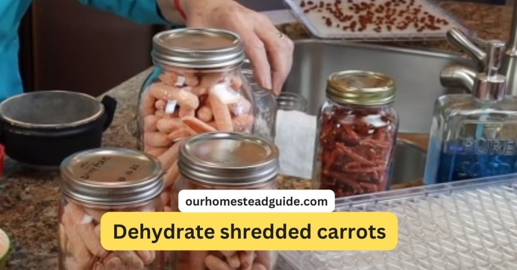 Dehydrate shredded carrots