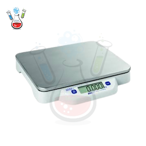 Digital Scale