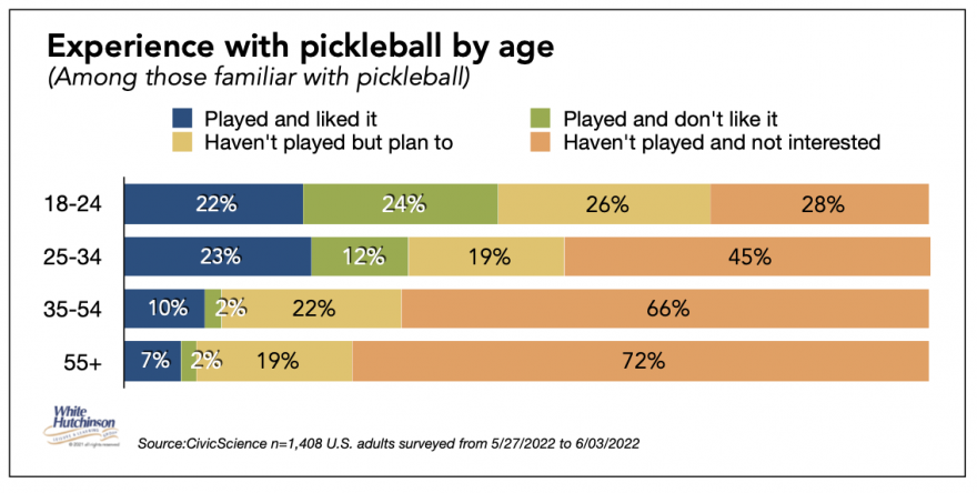 industry analysis of pickleball business plan