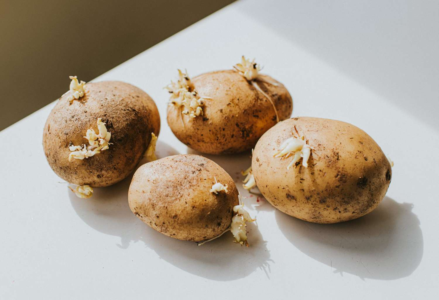 Tips to Delay Potatoes from Sprouting