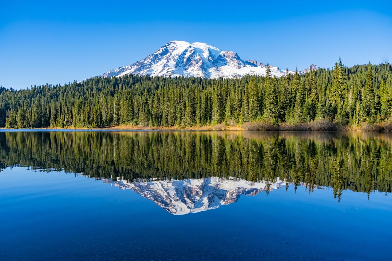 mount rainier with reflection on the water