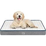 A dog lying on a mattress

Description automatically generated