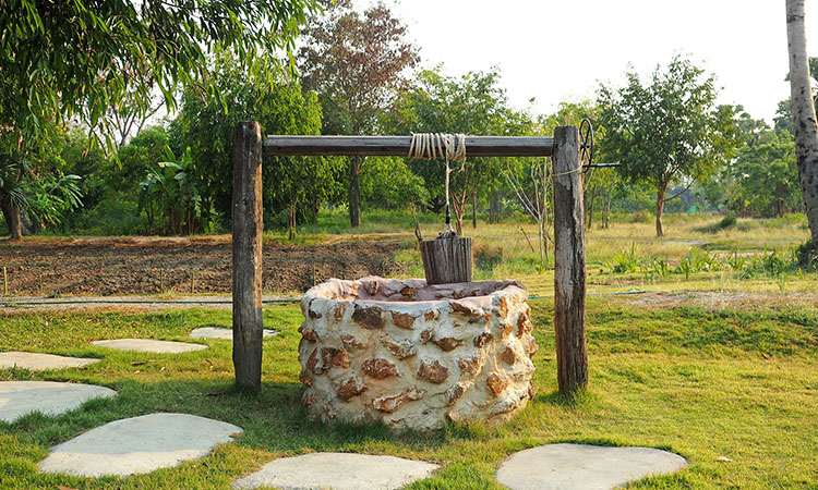 Preserve Your Home Well