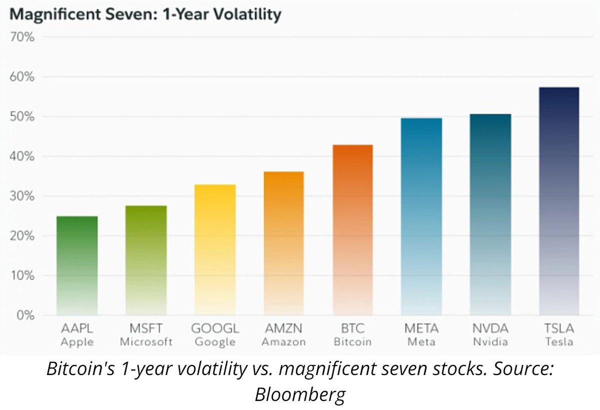 Chart showcasing 1 year volatility between bitcoin and magnificent seven stocks