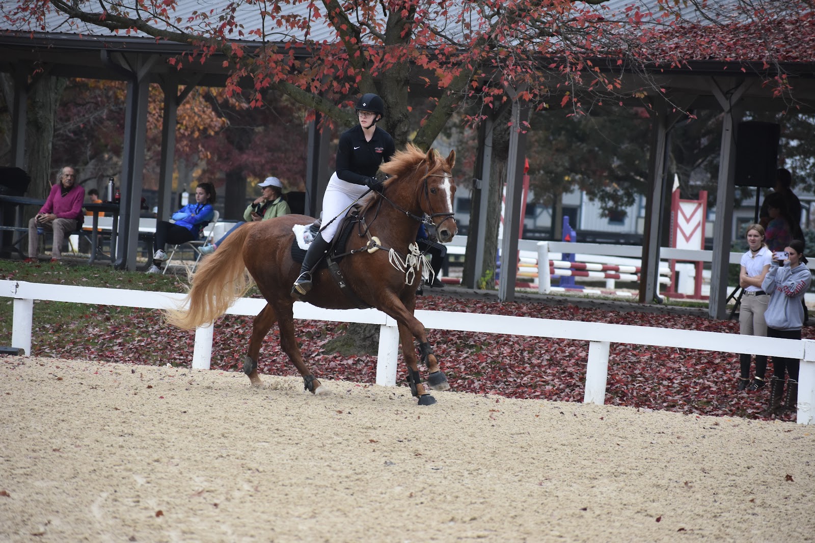 Transy Eventing celebrates Halloween at Octoberfest Horse Show