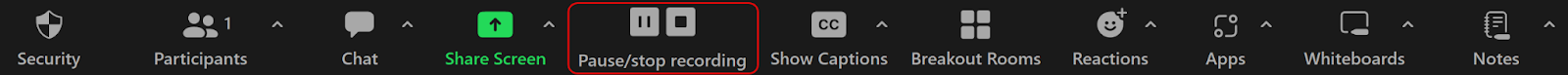 Zoom menu bar with the pause/recording option highlighted.