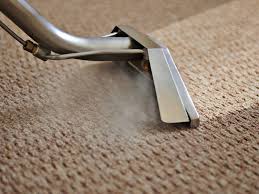 professional cleaning tools - Carpet Cleaning Tips For Allergic Homeowners In Concord, CA
