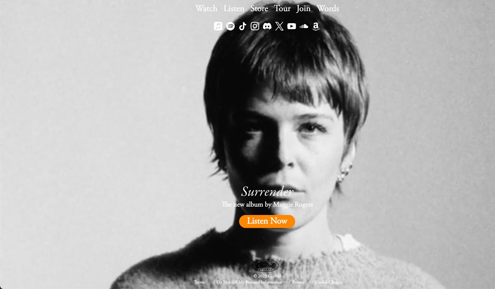 musician website example, maggie rogers