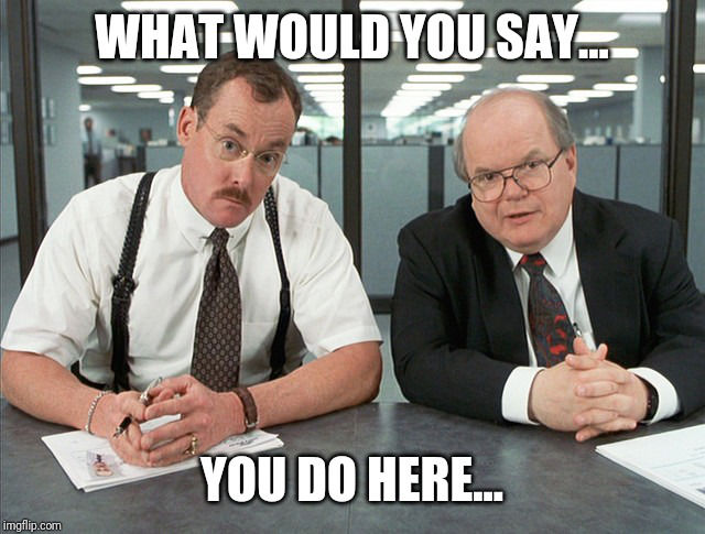 Meme photo from Office Space the movie, "What would you say you do here...."