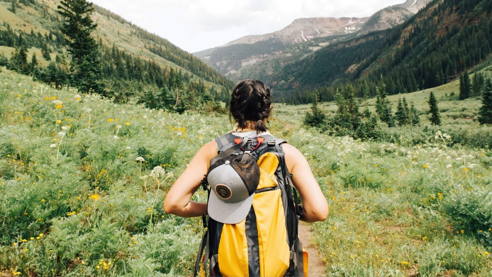 Take a Scenic Nature Walk