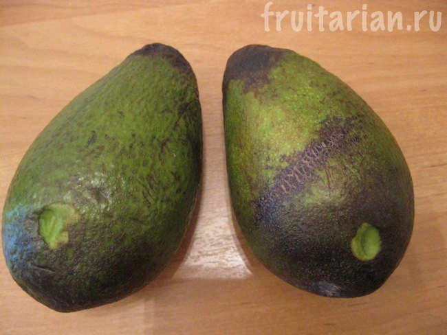 Two avocados on a table

Description automatically generated