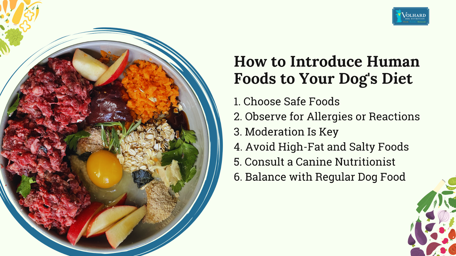 How to introduce human foods to your dog's diet