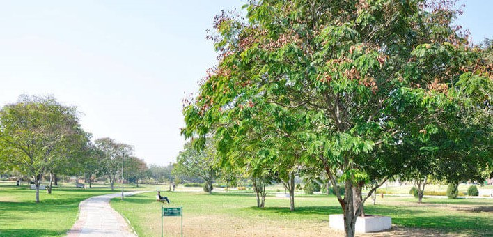 Central Park in Jaipur 