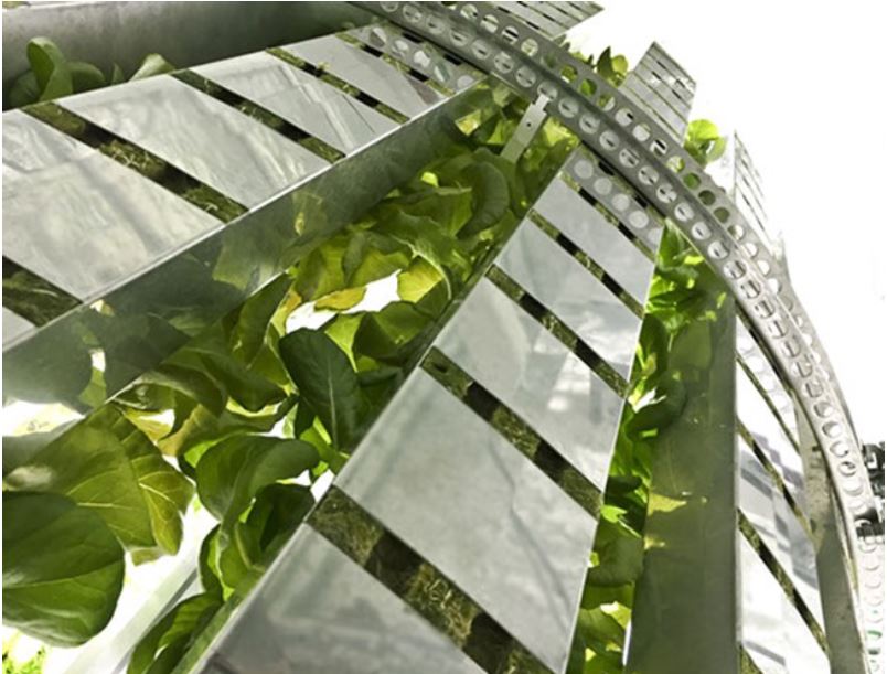 vertical farming image