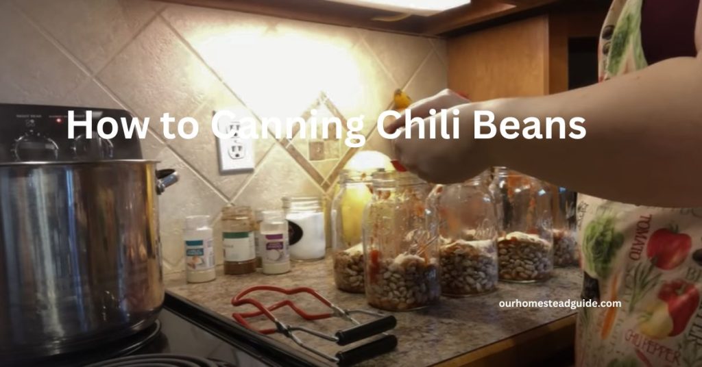 Canning Chili Beans