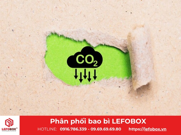 Bao bì tái chế giúp giảm phát thải khí CO2