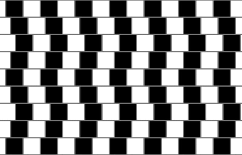 Optical illusions, like the café wall illusion, reveal how easily everyday patterns can deceive our brains