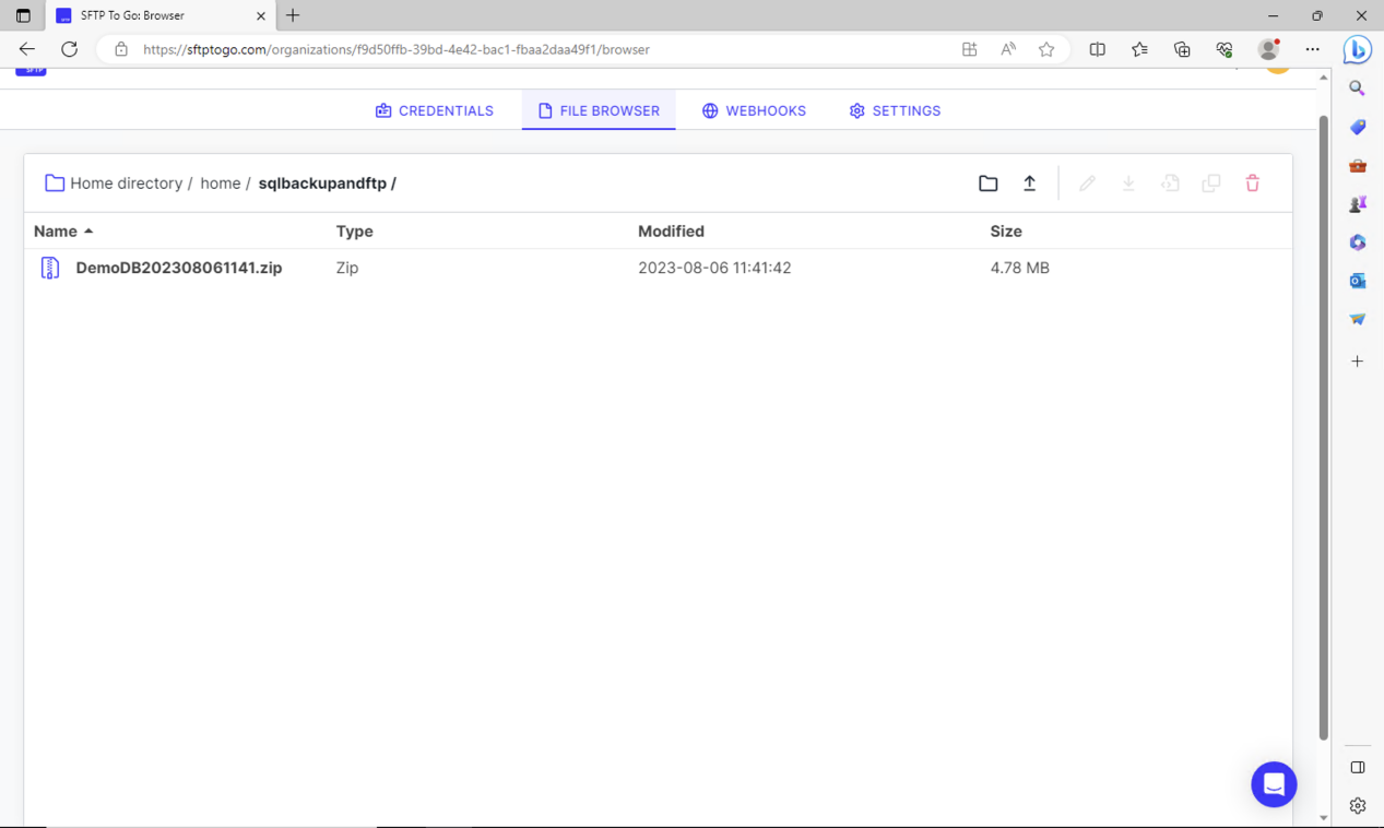 Accessing backed up files via the File Browser tab in the SFTP To Go dashboard