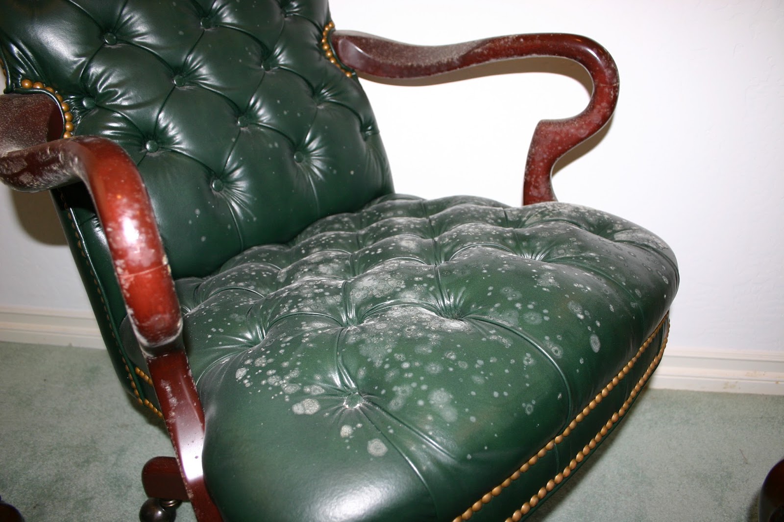 Mold on leather can be really difficulty to remove if you don - Carpet Cleaning Services In San Ramon, California't know the tricks