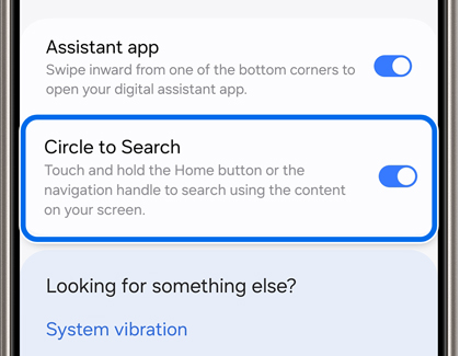 Circle to Search highlighted in Settings