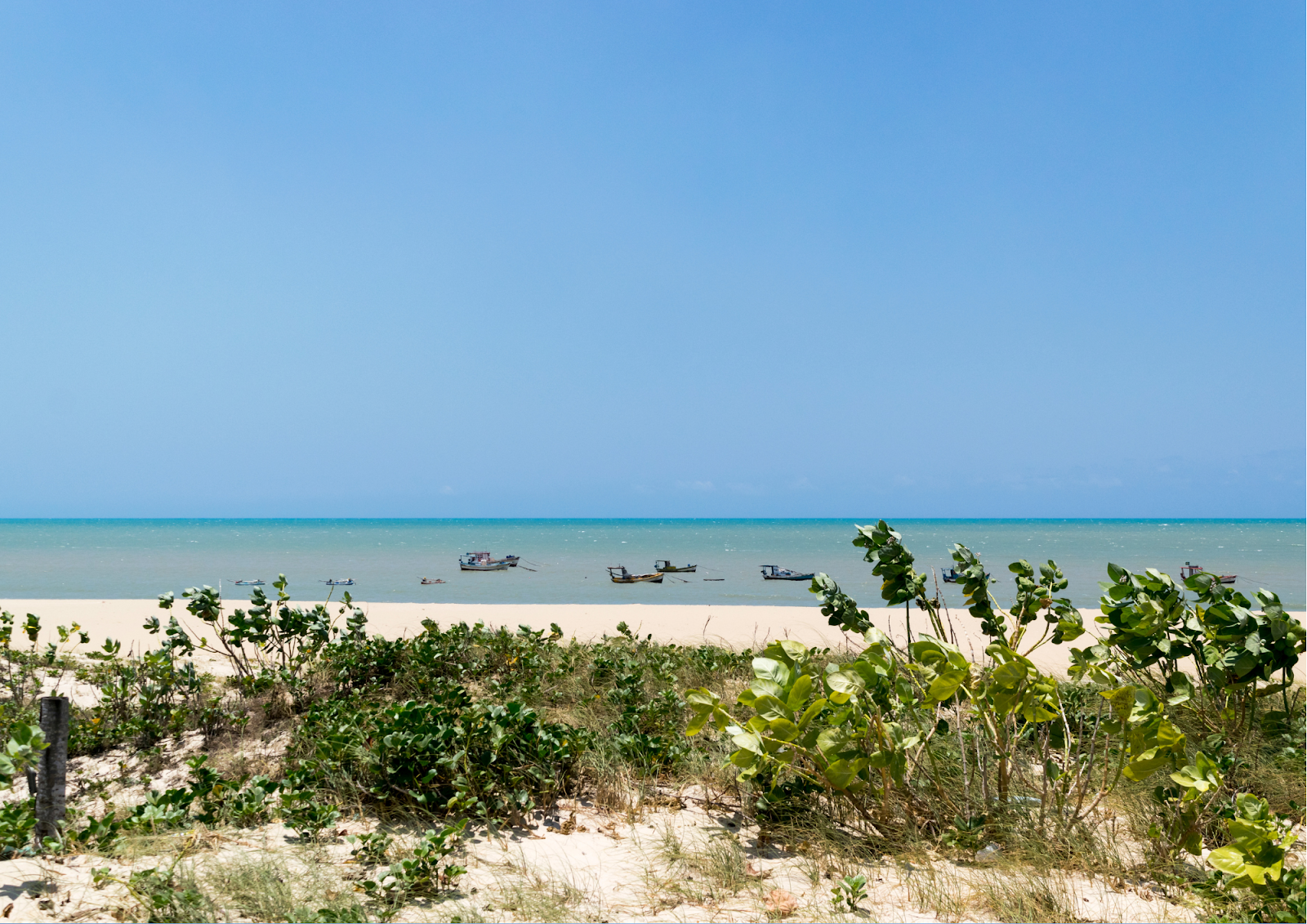 Canga de Praia Mapa do Tesouro em Promoção na Americanas