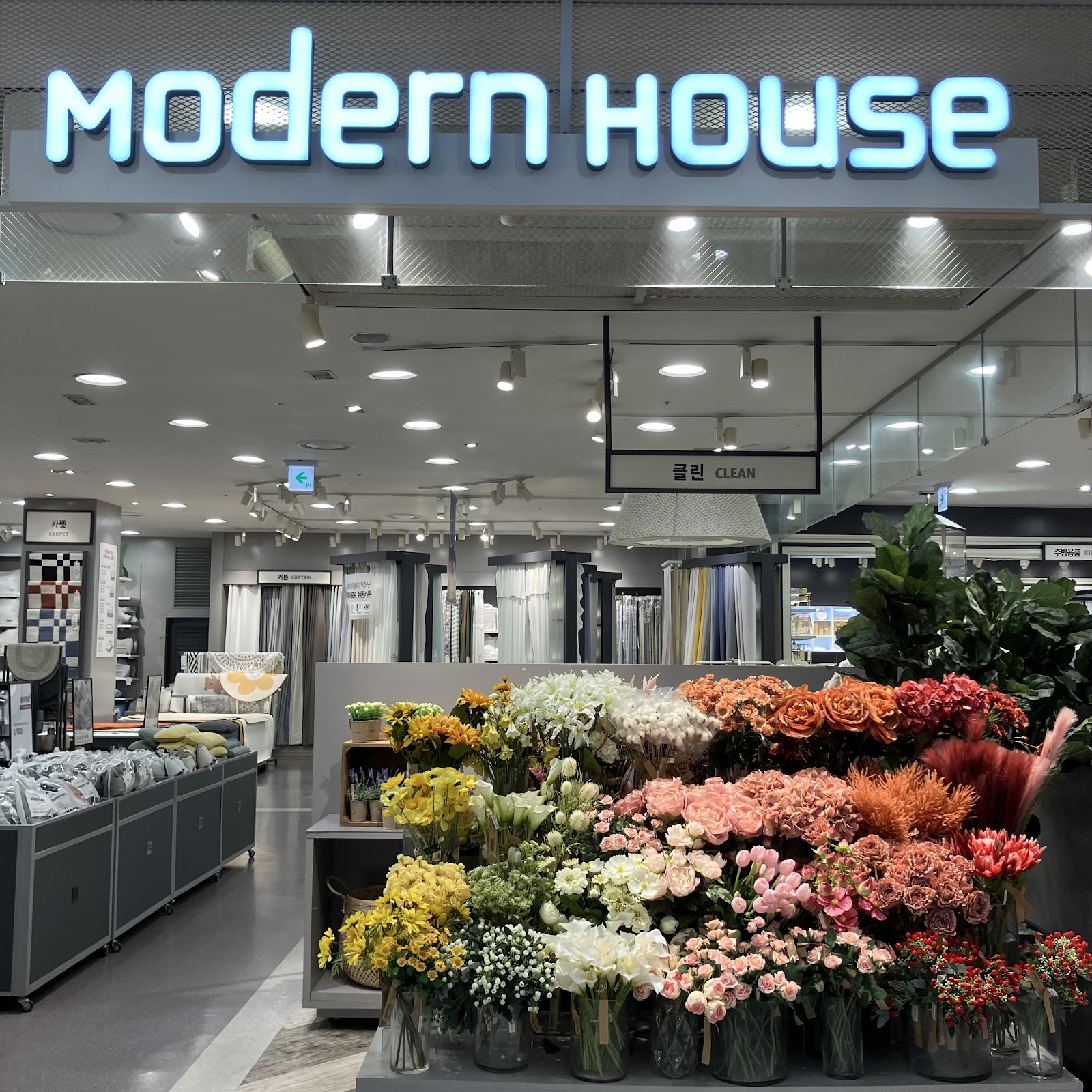 日韓夫婦がレコメンド！渡韓のたびに訪れる雑貨屋「Modern House」シーズンごとの新作が見逃せない！ おしゃれ雑貨