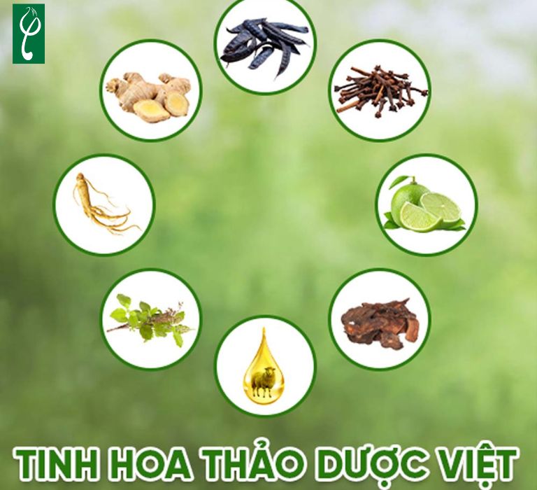 Những thành phần được sử dụng để sản xuất dầu gội thiên nhiên