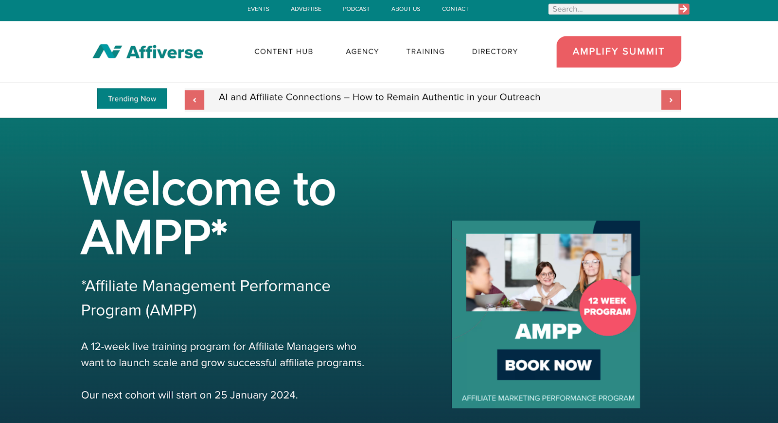 Affiverse affiliate management performance program