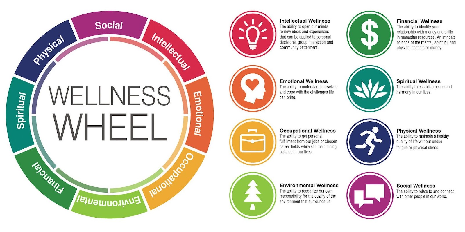 Financial Wellness Holistic Health
