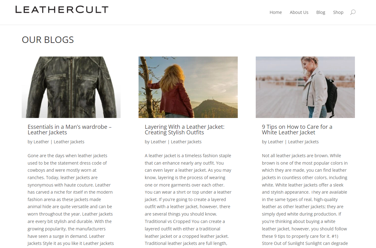 LeatherCult blogs screenshot.
