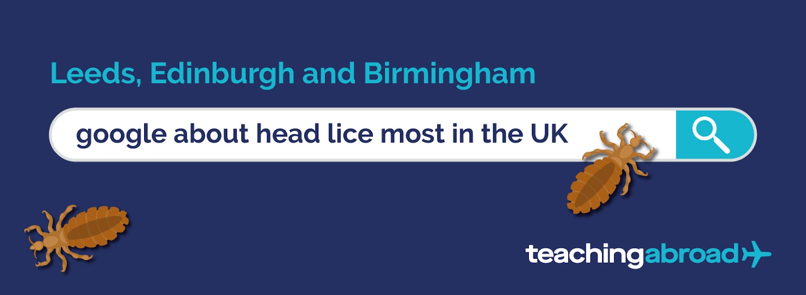 Leeds, Edinburgh and Birmingham google about head lice more than anyone else
