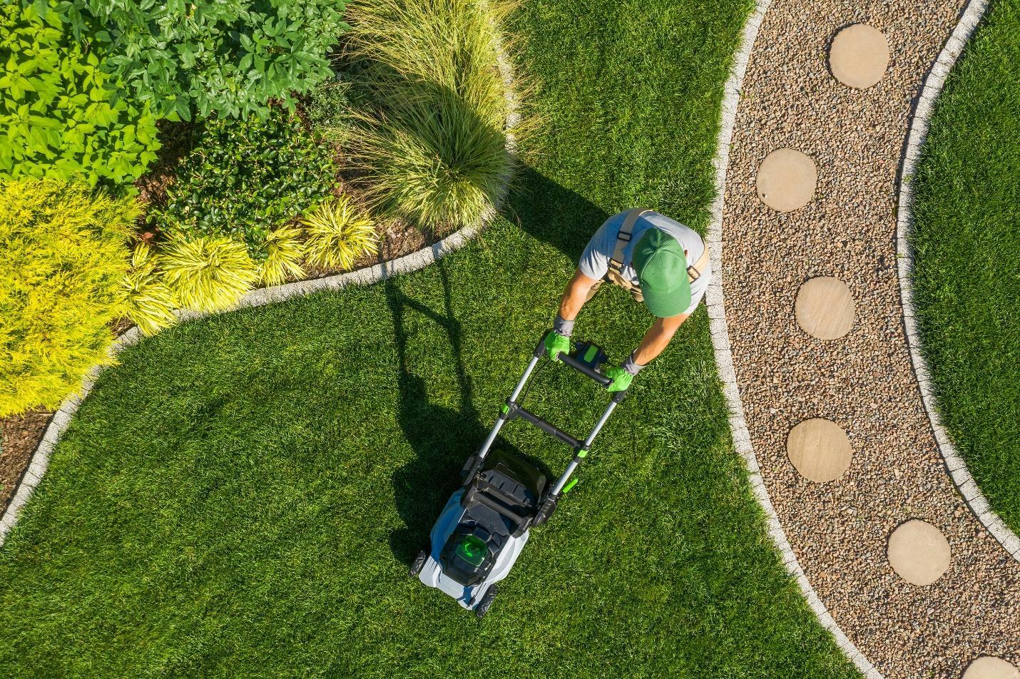 Aerial view of person pushing lawn mower on grass between garden bed and path