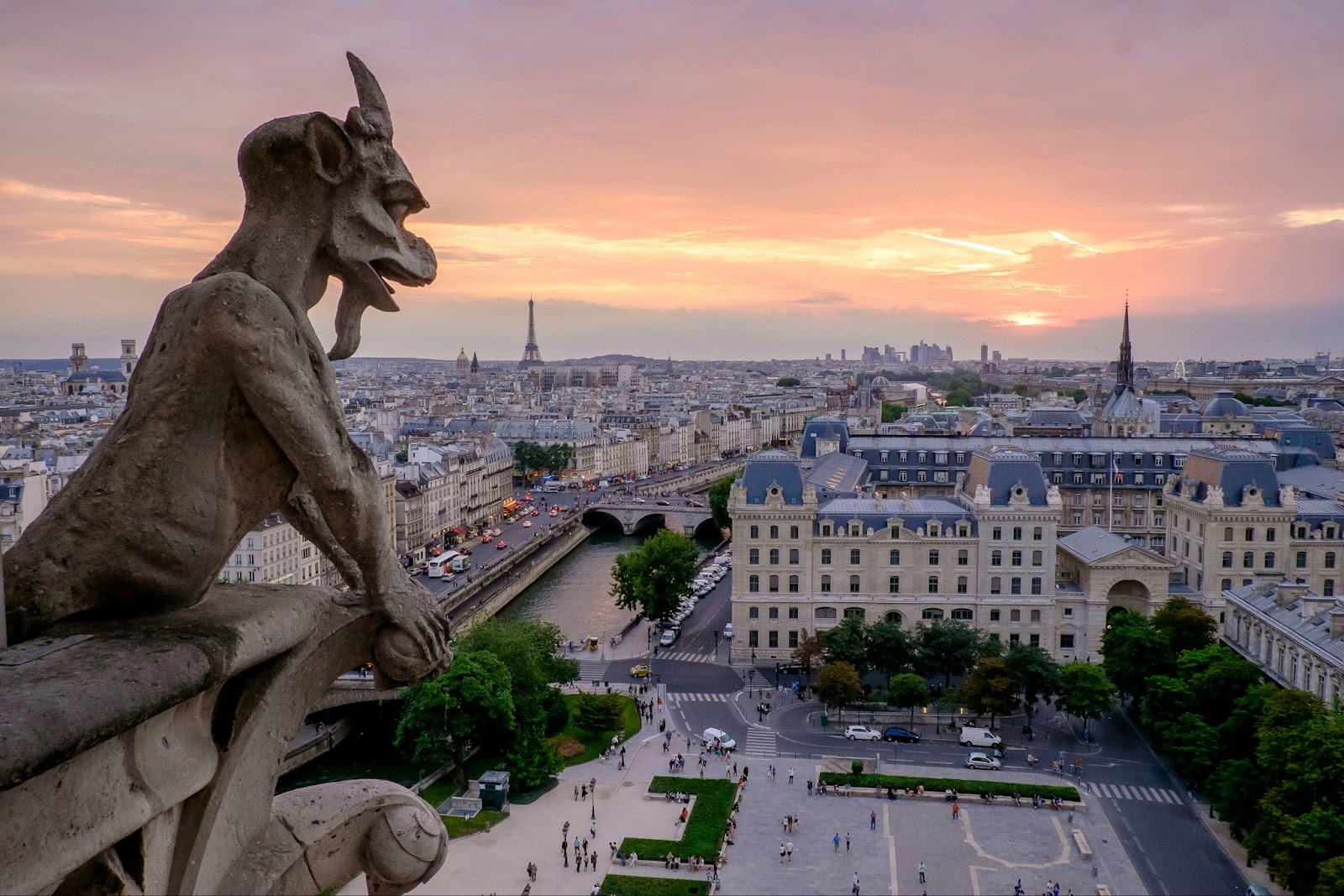 View of Notre-Dame during a bike tour of Paris