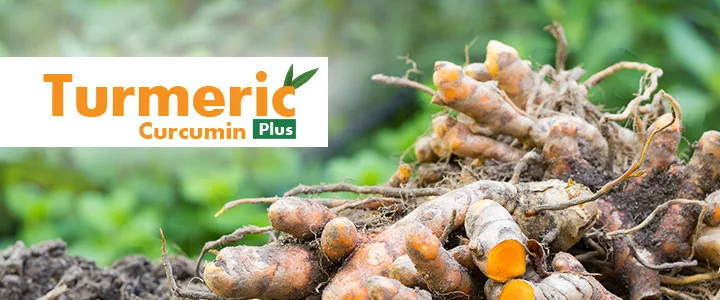 best turmeric supplement