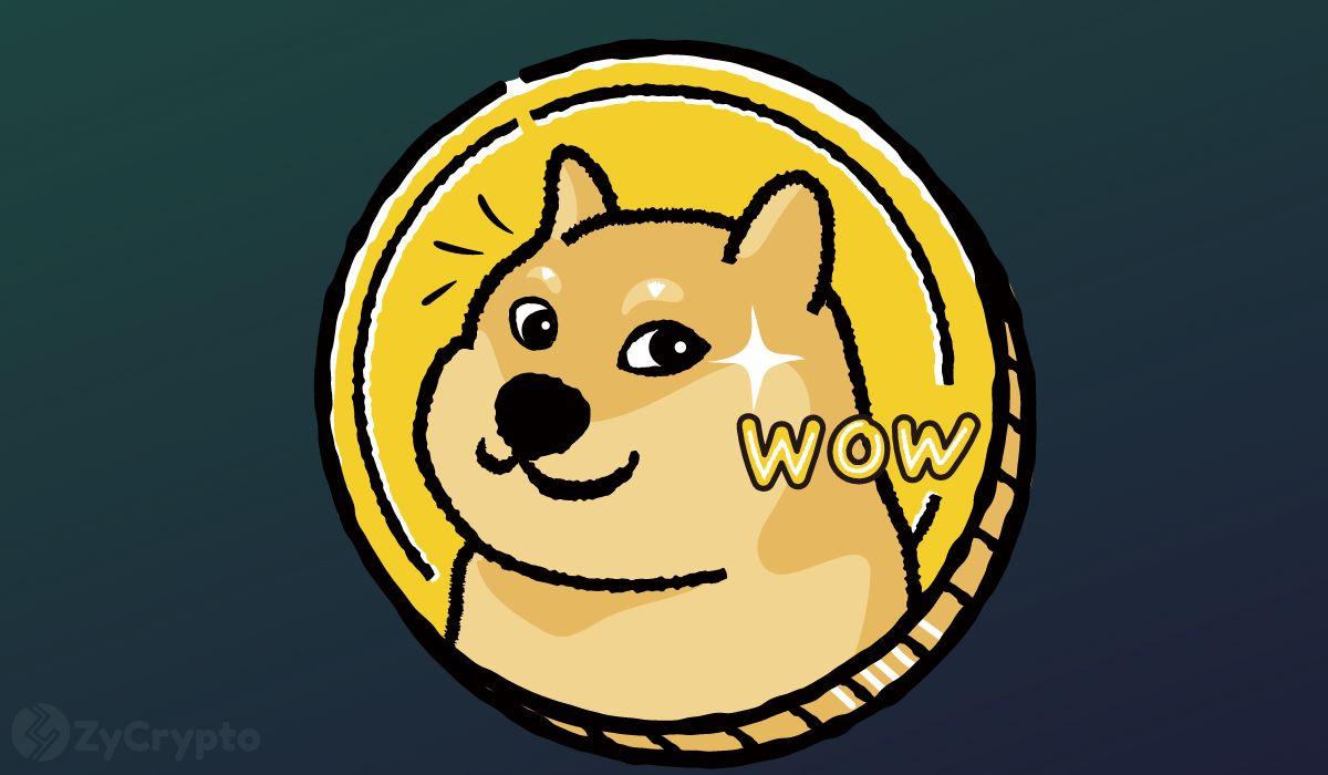 Dogecoin 20 