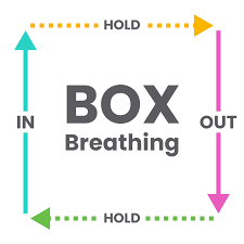 Box Breathing | Breathe your way to better Gut Health | Gut Performance