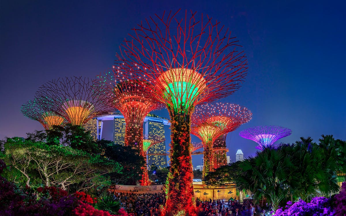 Khung cảnh lung linh tại Gardens By The Bay vào buổi tối