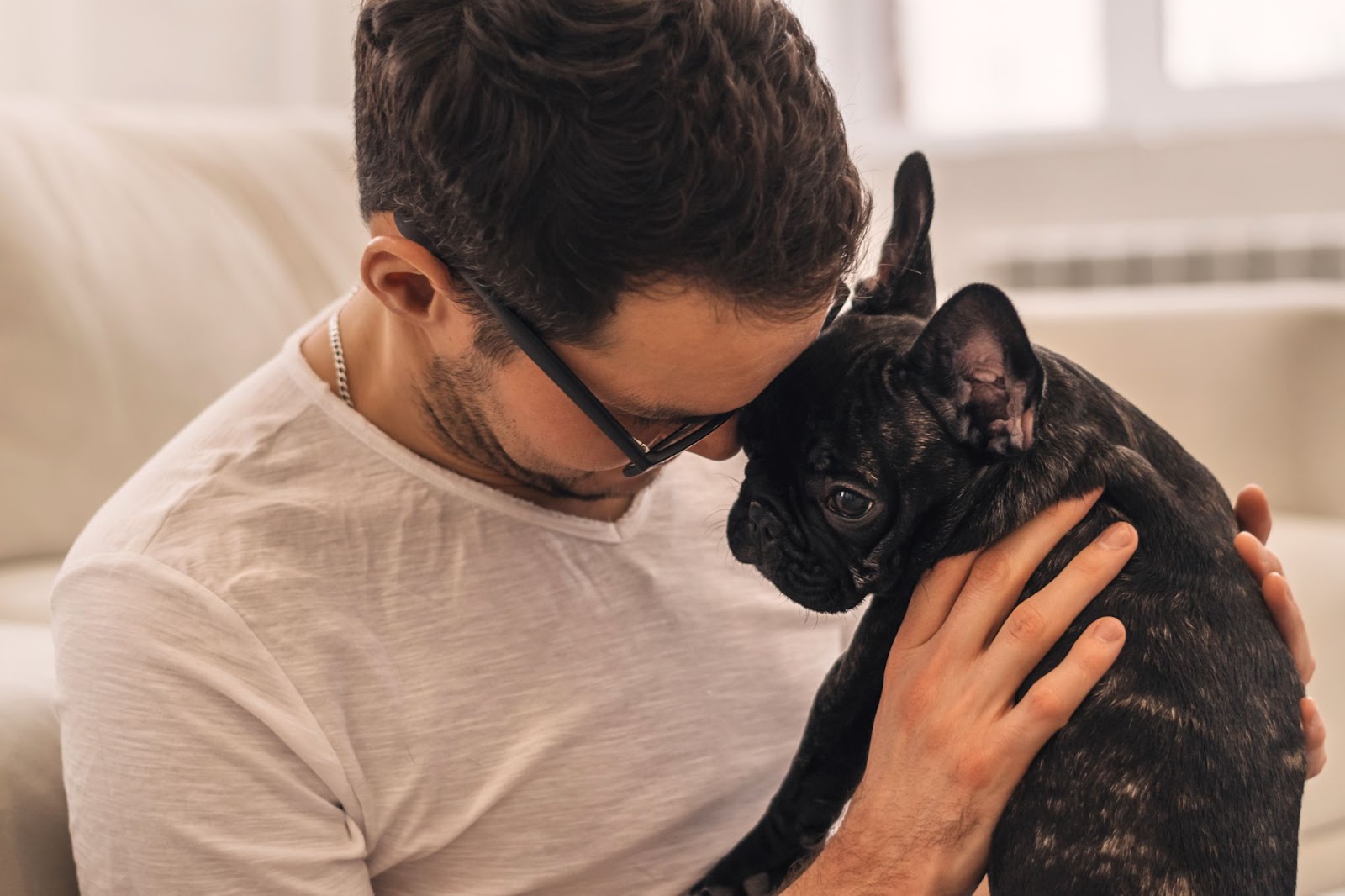 Black small pug and its owner hugging