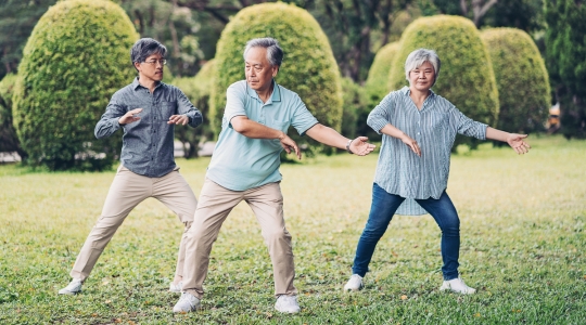 Trois personnes âgées pratiquent le Tai Chi dans un parc verdoyant. De gauche à droite, un homme et une femme en tenues décontractées suivent les mouvements d'un instructeur au centre.
Cela montre un excellent exemple d'activité physique adaptée qui favorise à la fois le bien-être physique et mental, tout en étant une activité sociale agréable.